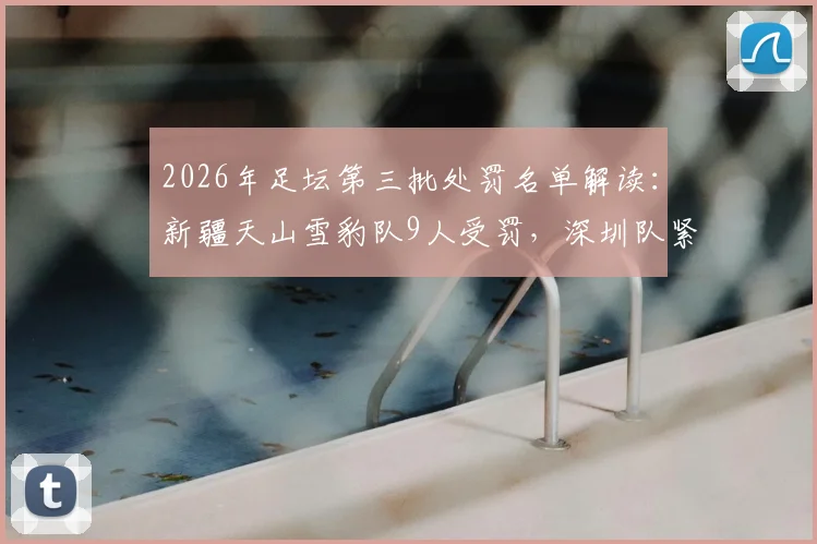 2026年足坛第三批处罚名单解读：新疆天山雪豹队9人受罚，深圳队紧随其后